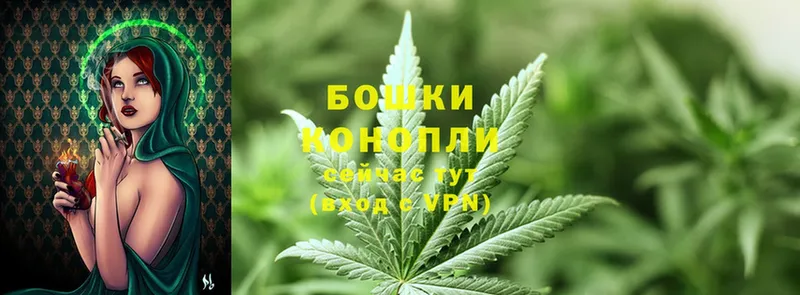 Конопля Ganja  Пустошка 